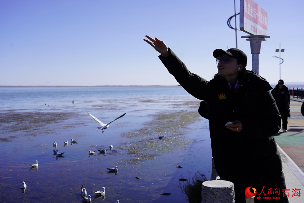 游客投喂水鳥。人民網 陳明菊攝