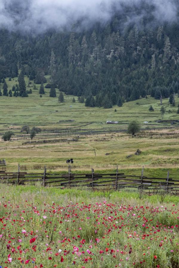 跟我,踏上最美“景觀大道”