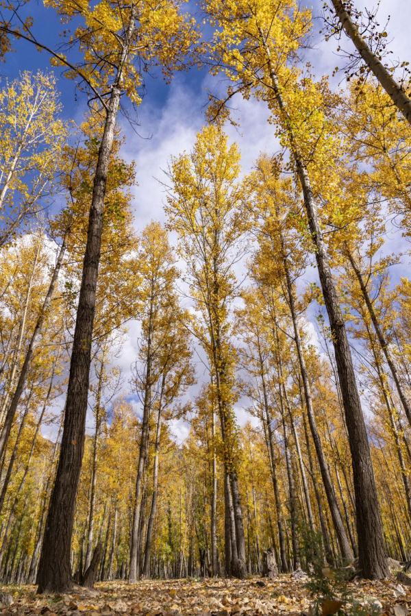 跟我,踏上最美“景觀大道”