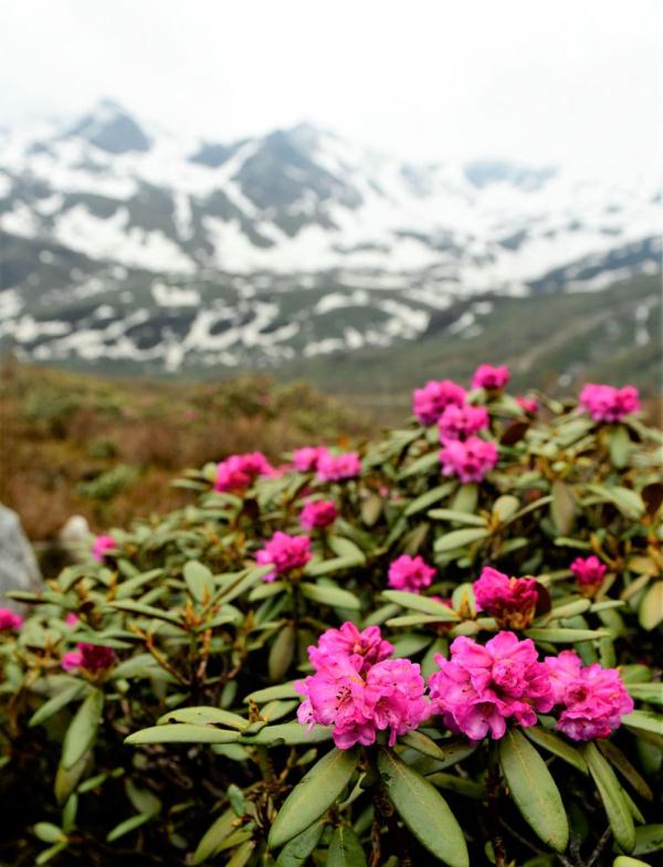 跟我,踏上最美“景觀大道”