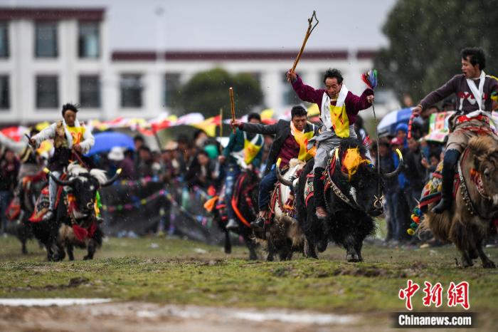 圖為拉薩郊縣的賽馬節(資料圖)。何蓬磊 攝