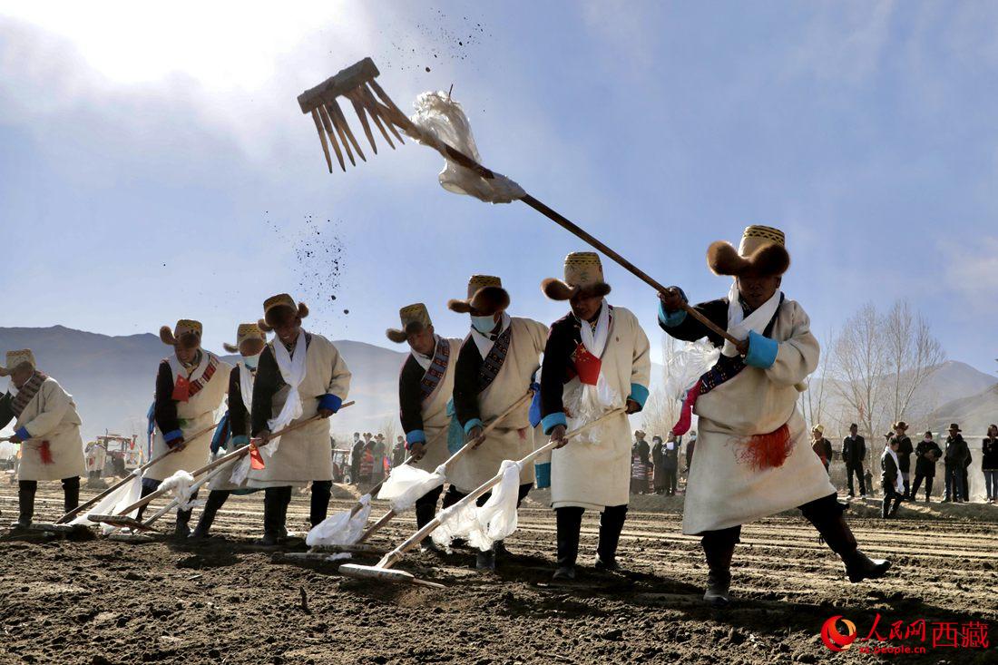 當地村民身著節日盛裝，舉行春耕儀式。人民網 次仁羅布攝