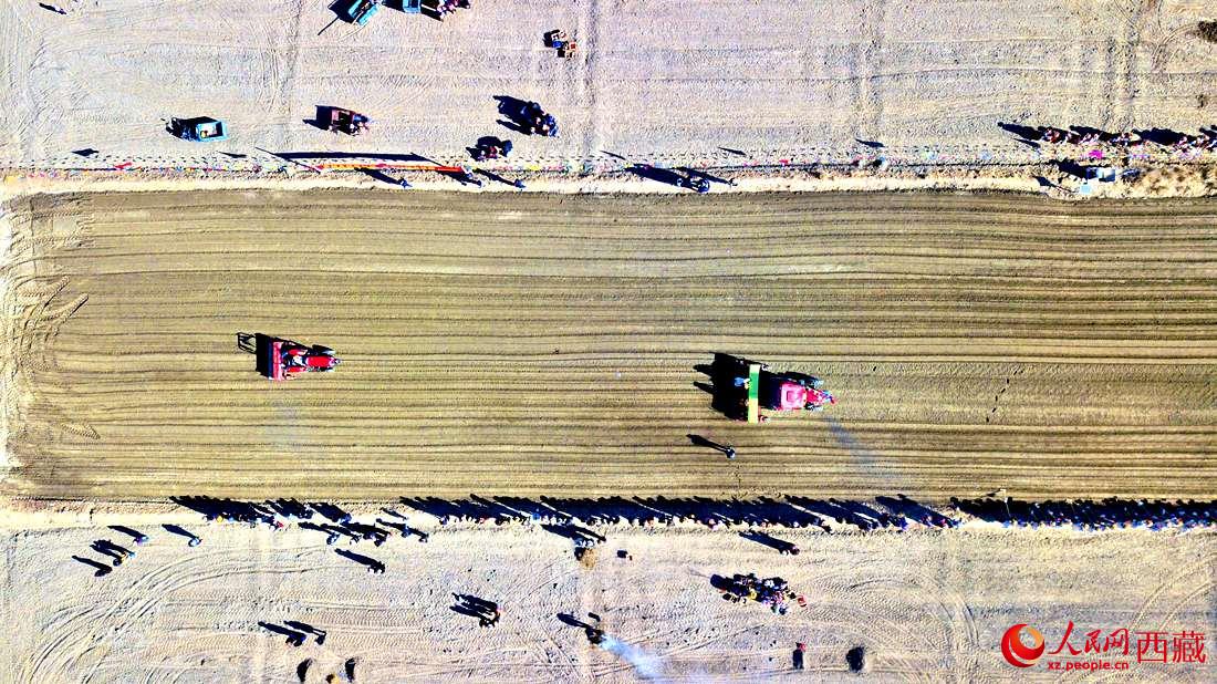 山南市扎囊縣扎其鄉孟卡榮村迎來春耕第一犁。人民網 次仁羅布攝