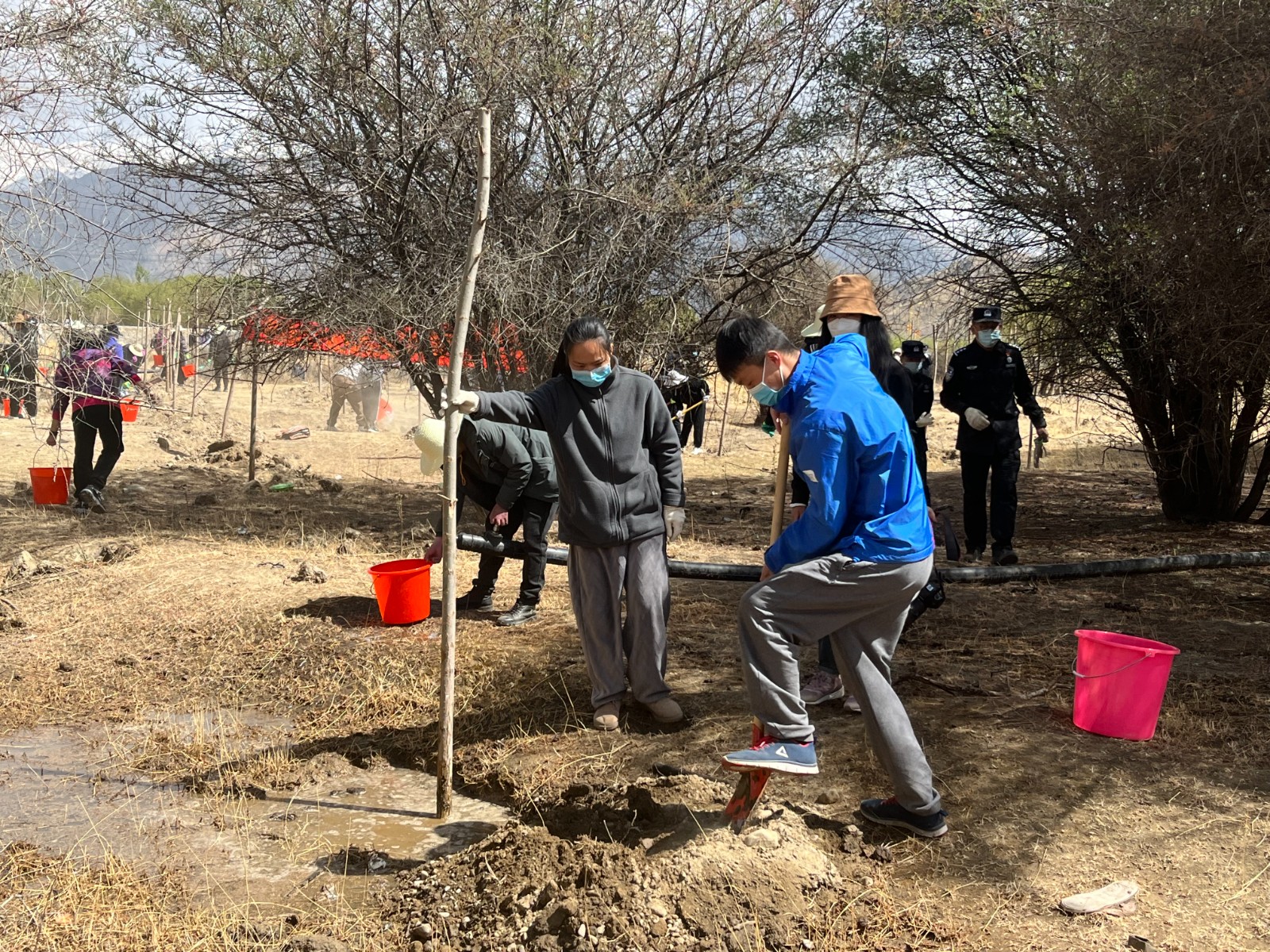 植樹現場,大家分工明確,配合默契(2000565)-20220420090303.jpg