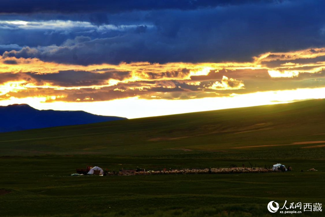 黃昏下的帳篷，牧民過(guò)著幸福生活。 人民網(wǎng) 李海霞攝