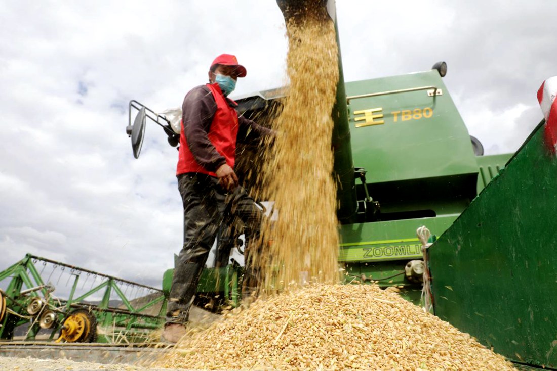 顆粒歸倉。洛克攝