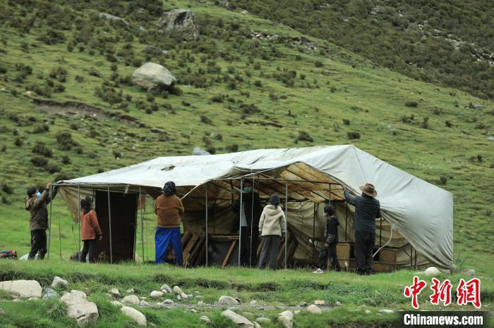 圖為牧民們在秋季牧場搭建帳篷。　洛克 攝