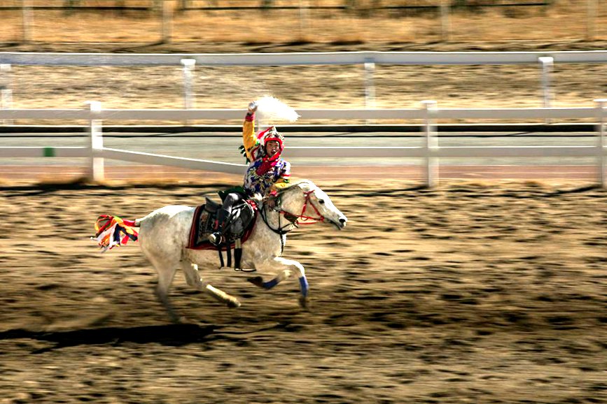 藏歷新年，精彩的馬術表演。張靜攝