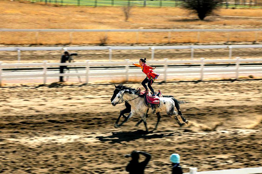 藏歷新年，精彩的馬術表演。張靜攝