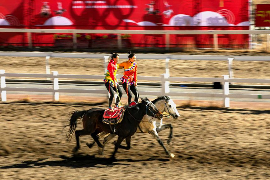 藏歷新年，精彩的馬術表演。張靜攝