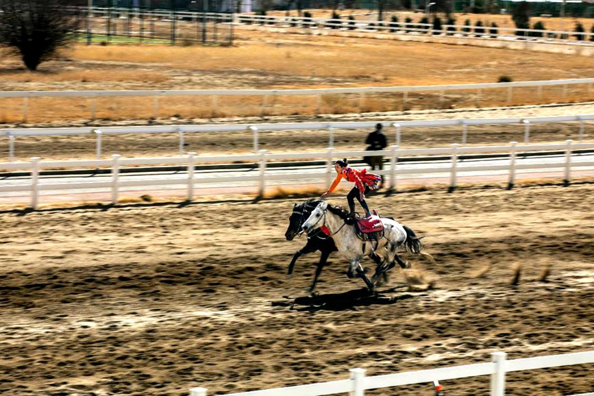 藏歷新年，精彩的馬術表演。張靜攝