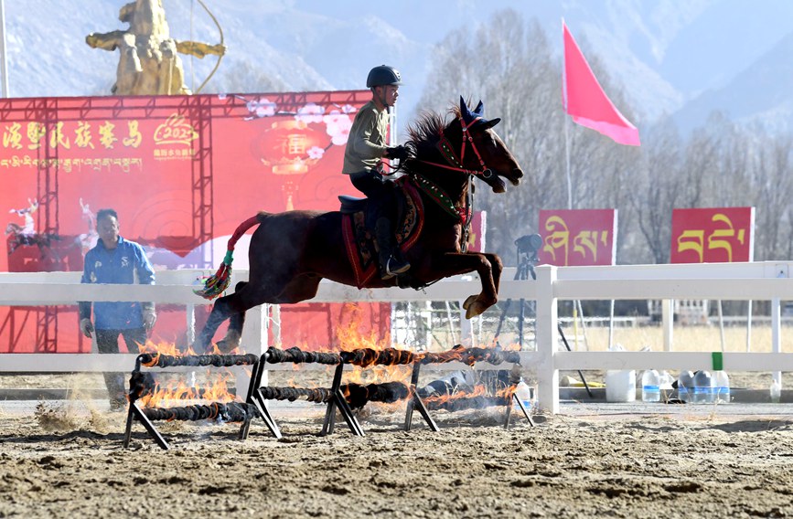 藏歷新年，精彩的馬術表演。潘多攝