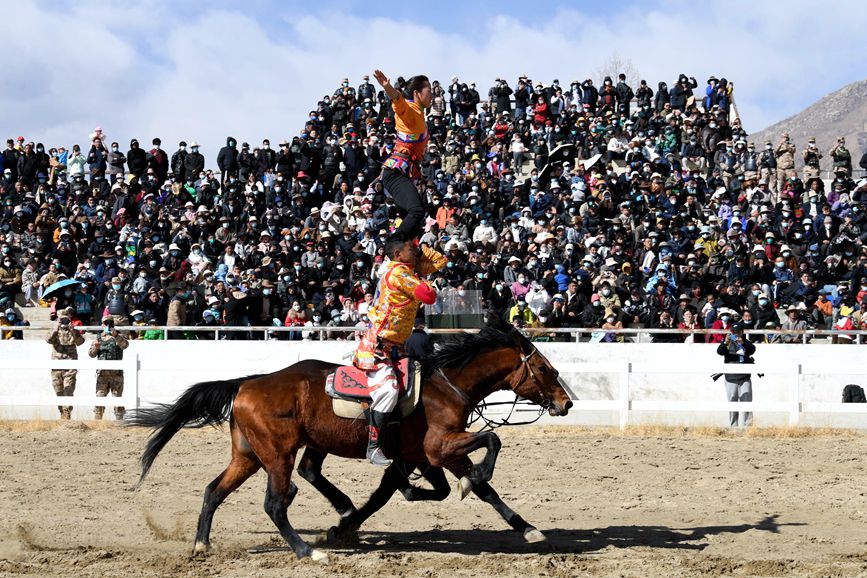 藏歷新年，精彩的馬術表演。潘多攝
