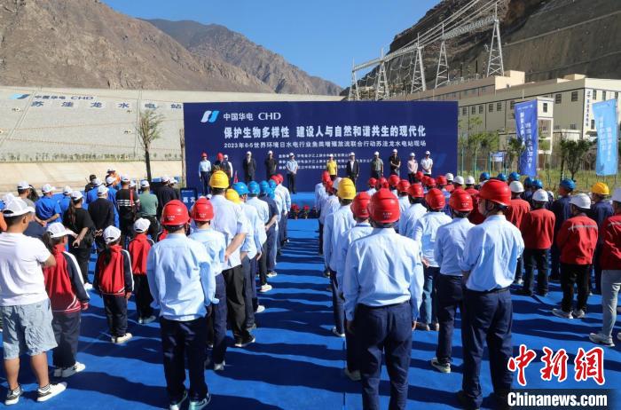 圖為蘇洼龍水電站魚類放流現場?！√K洼龍水電站供圖