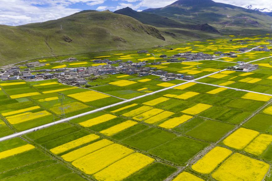 航拍道布龍村，依山傍水，阡陌縱橫。