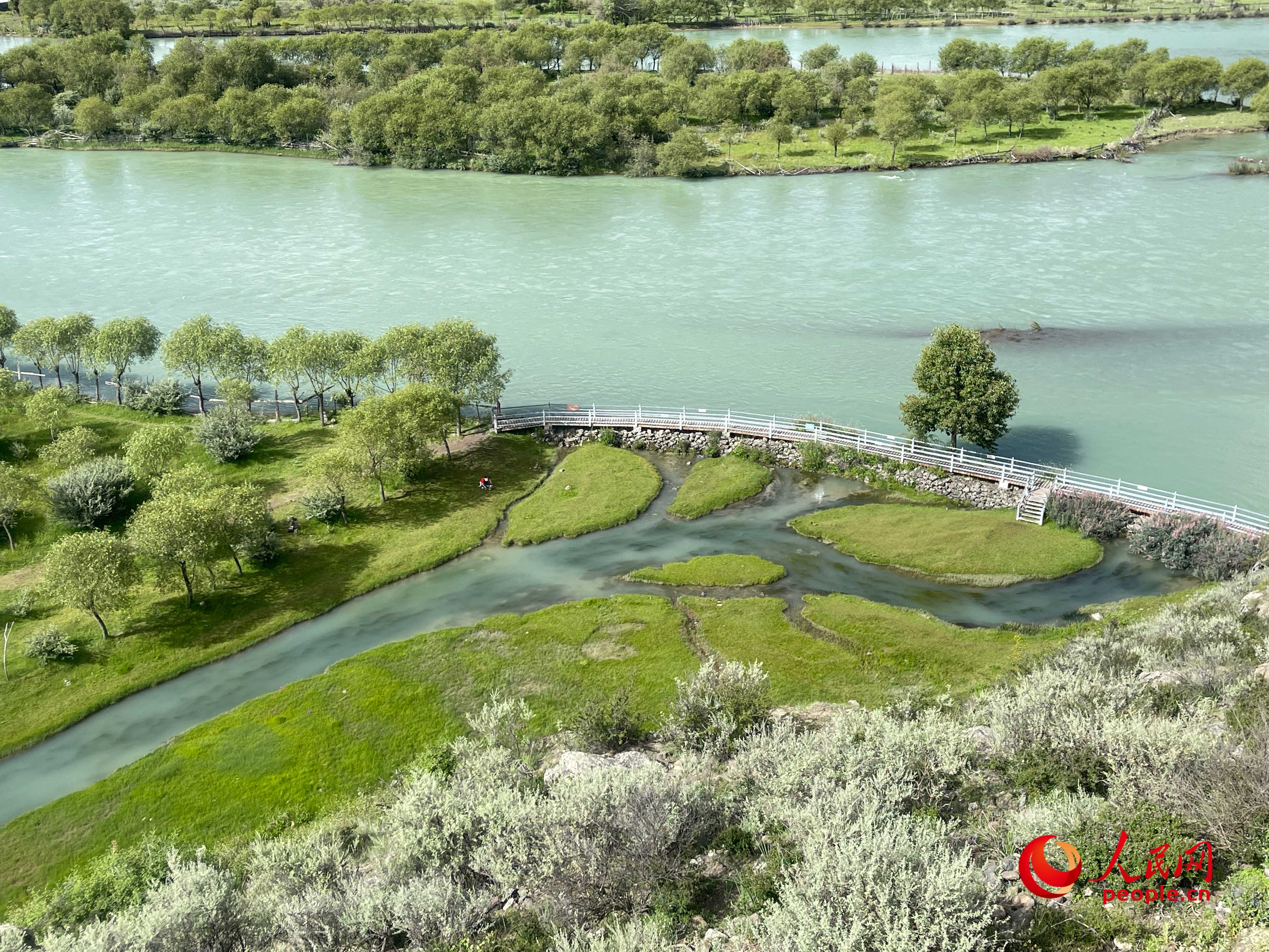 夏日的雅尼國家濕地公園生機盎然，如詩如畫。人民網(wǎng) 周靜圓攝