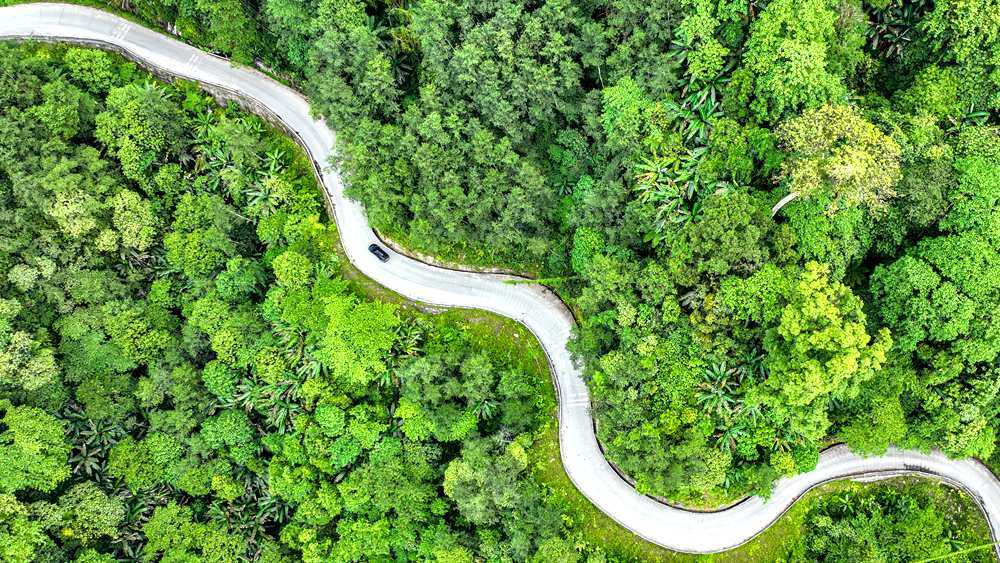 穿行于綠色間，生態優良。張澤坤攝