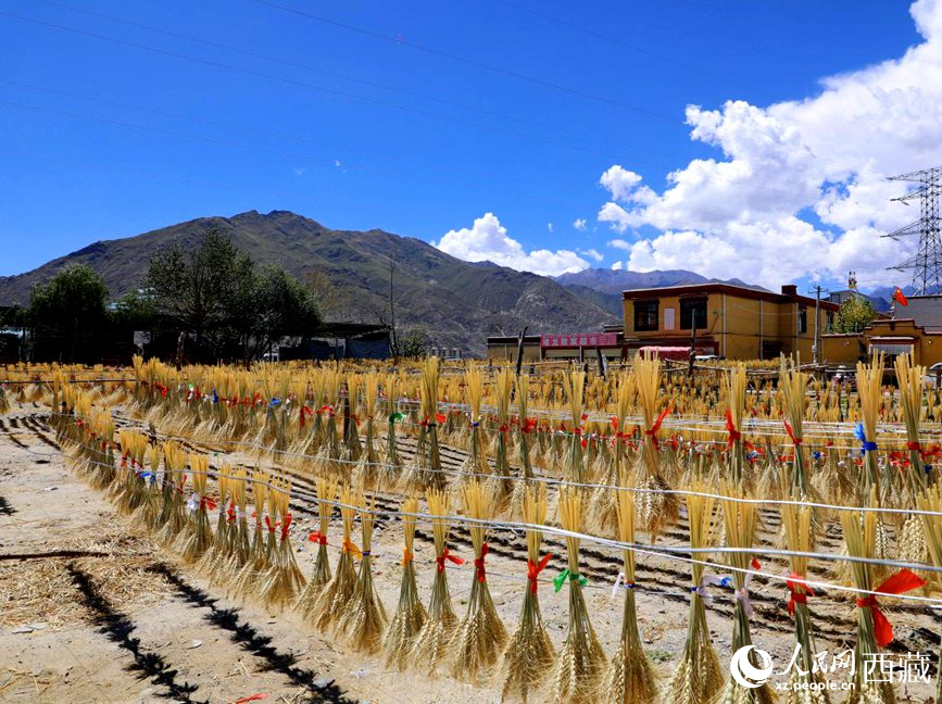 幸福生活曬出來。人民網 李海霞攝