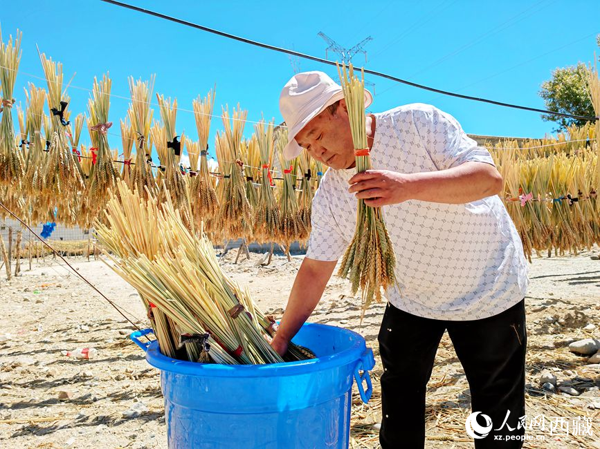 幸福生活曬出來。人民網 李海霞攝