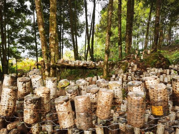 幾代建設(shè)者，歷經(jīng)半個(gè)多世紀(jì)完成！這是一條怎樣的公路？