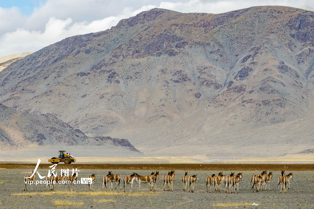 西藏阿里:高原公路建設忙【4】