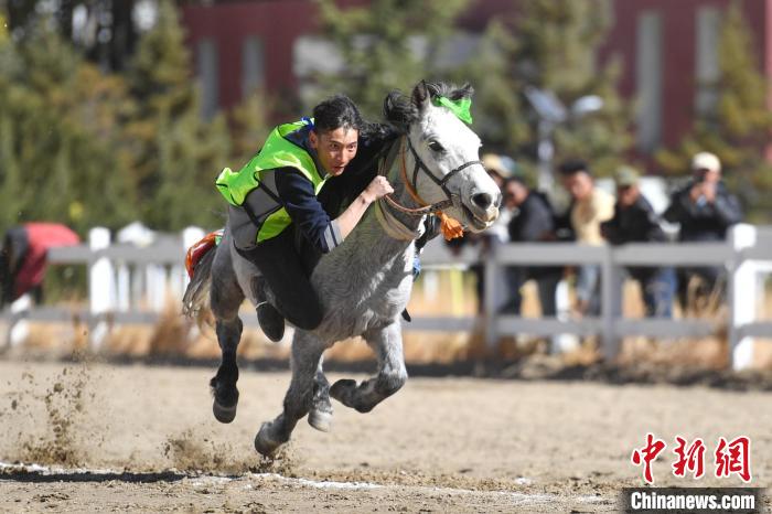 西藏舉行青少年民族傳統馬術比賽