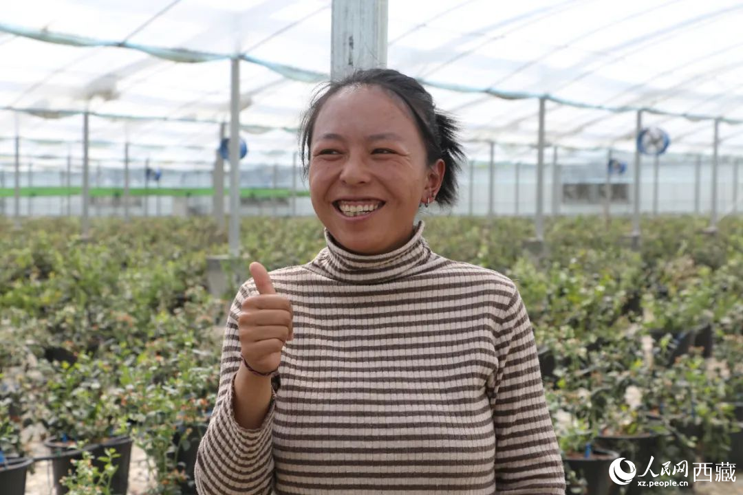 措姆品嘗自己精心照料的藍莓后，豎起了大拇指。次仁龍布攝